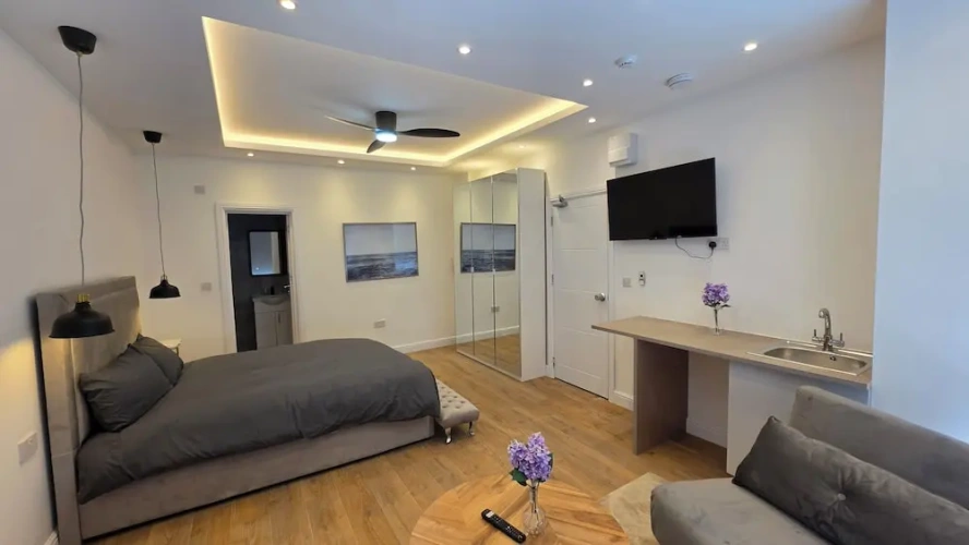 Deluxe Suite with city view