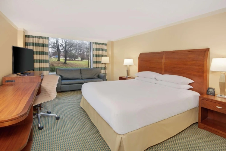 1 Bedroom Premium Double Suite