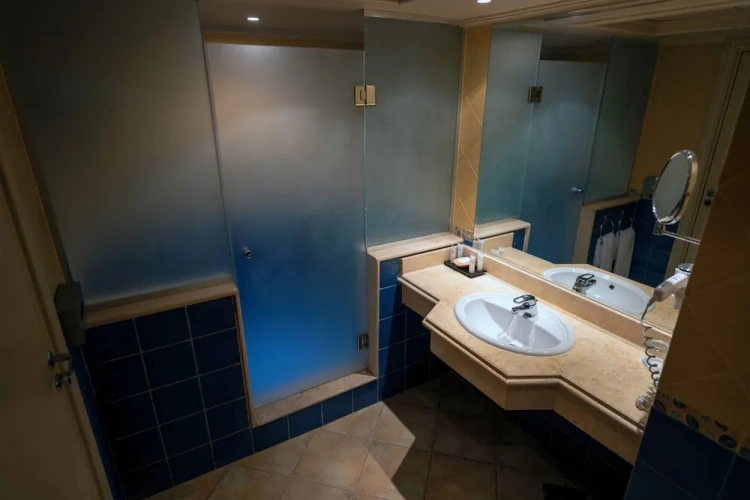 Standard Double room with balcony and with sea view