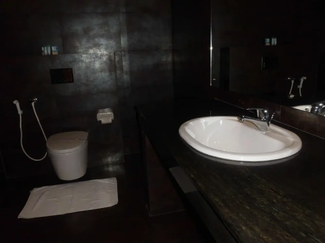 1 Bedroom Luxury room