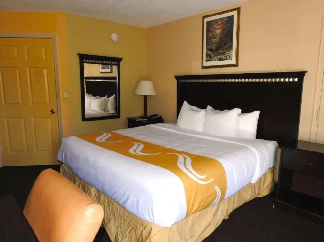 Standard Double room with pool view