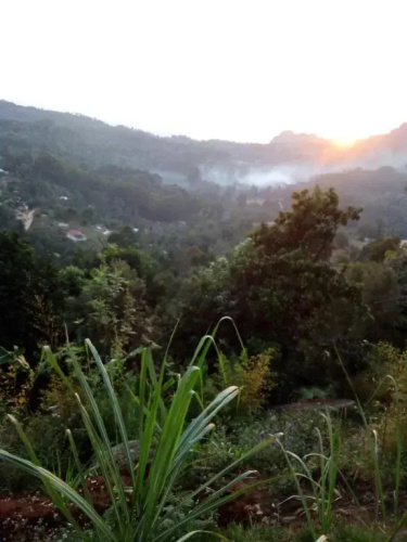 Lushoto Pazuri