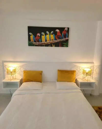 Hello Guyane (4), Suite Junior Luxury, 5 étoiles