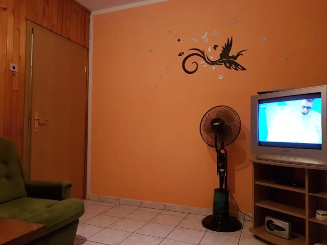Basement Apartment