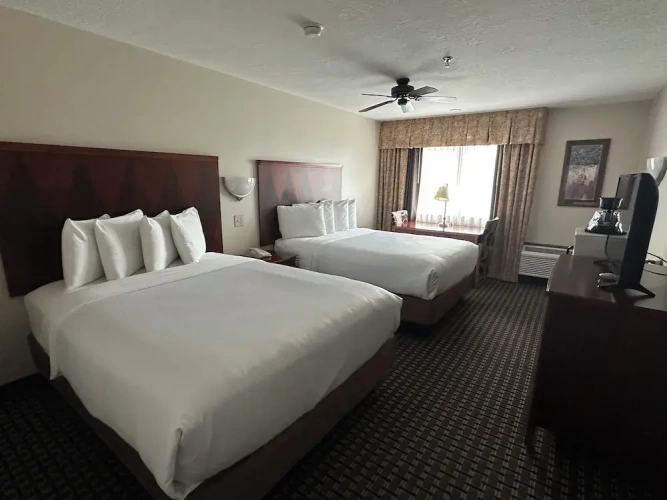 Standard Double room