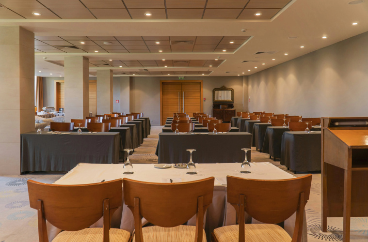 Divani Meteora Hotel photo 23