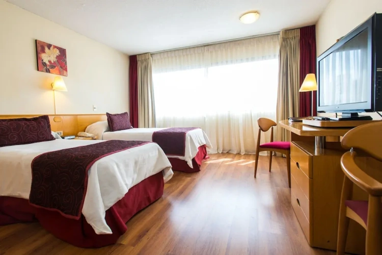 Standard Twin Suite