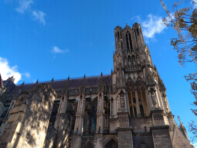 Lmnp Reims