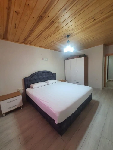 Standard Basement room with garden view