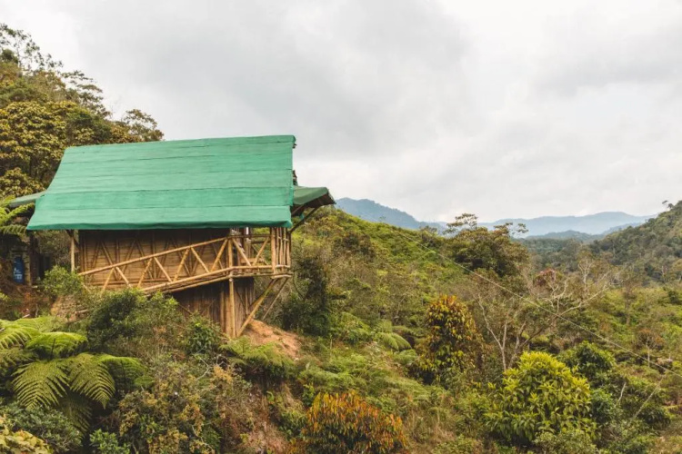 Adriana's Bambu-Lodge