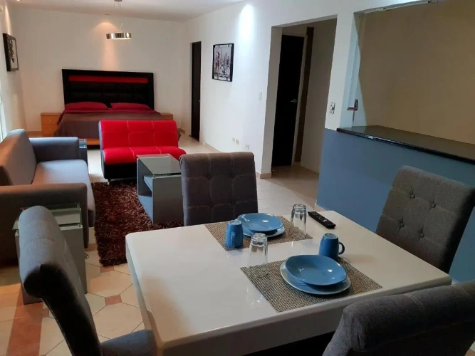 Basement Apartment