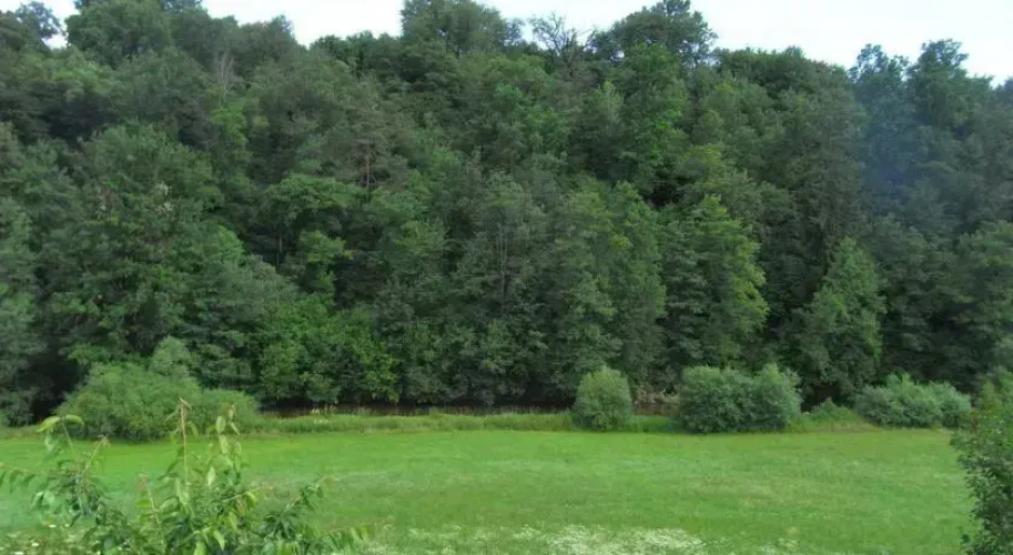Zwettltalblick