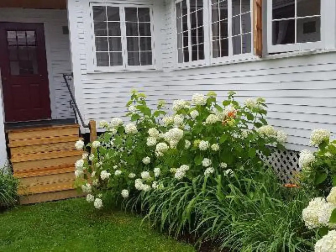 Lareau Farm Inn