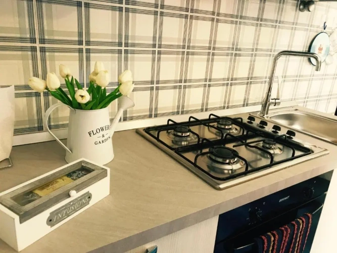 Standard Apartment