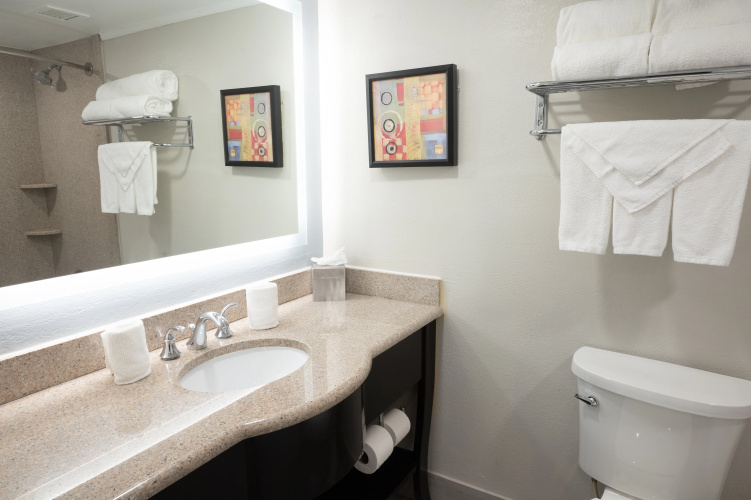 Holiday Inn Orlando East - UCF Area photo 10