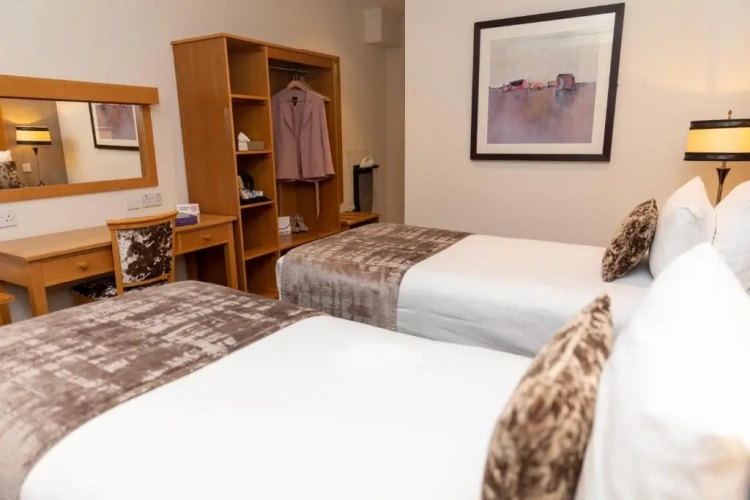 Deluxe Twin room