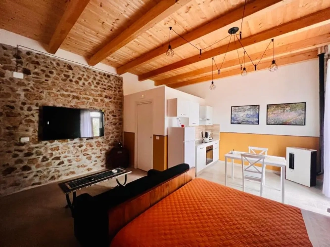 Deluxe Apartment