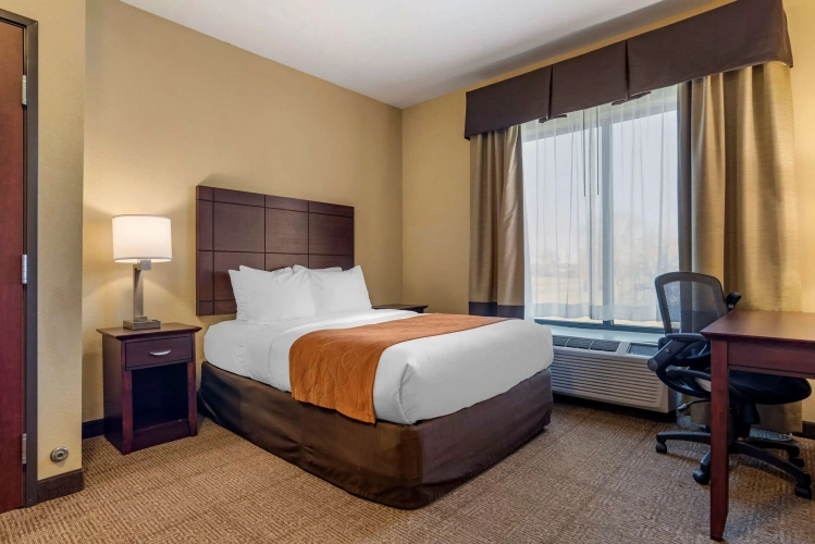 Quadruple Suite