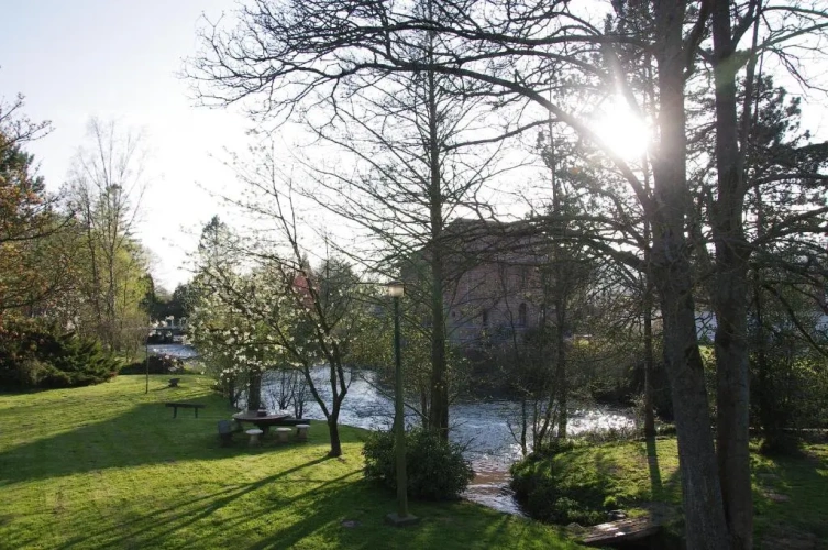 Standard Double room with garden view