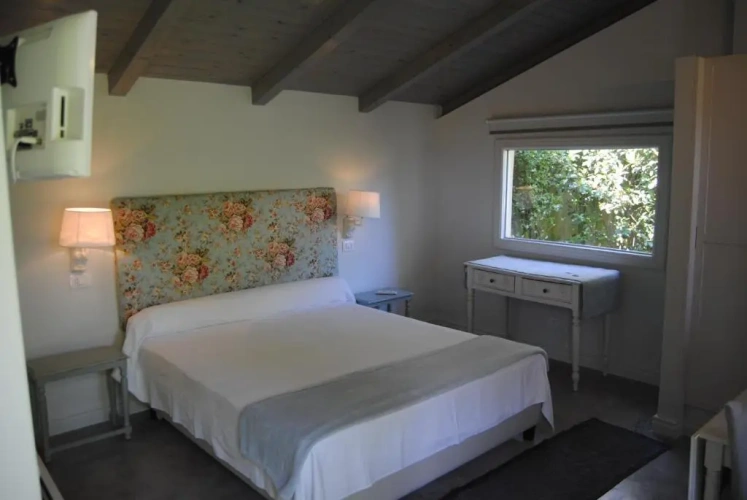 Deluxe Double room with view