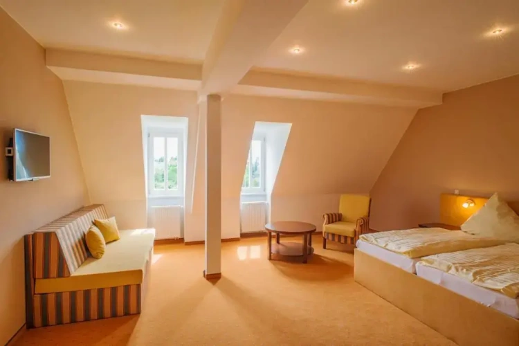 Standard Double room