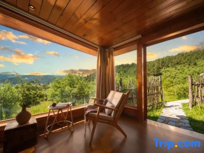 Duplex Suite