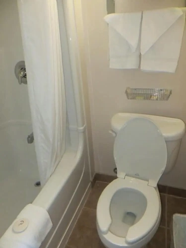 Quadruple Suite