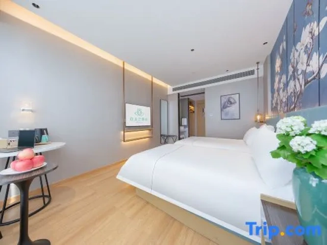 Standard Twin room with city view