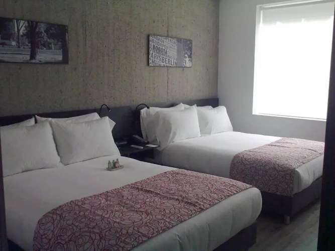 Twin Suite
