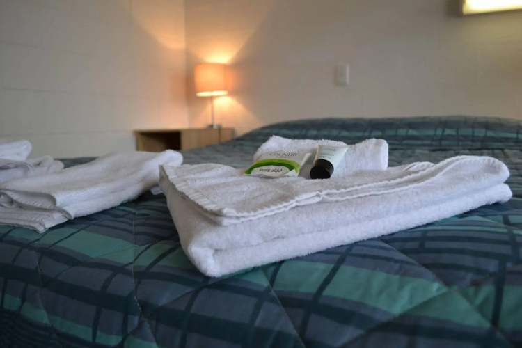 Barossa Palms Motel
