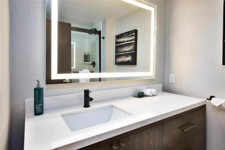 DoubleTree by Hilton Detroit Novi photo 11