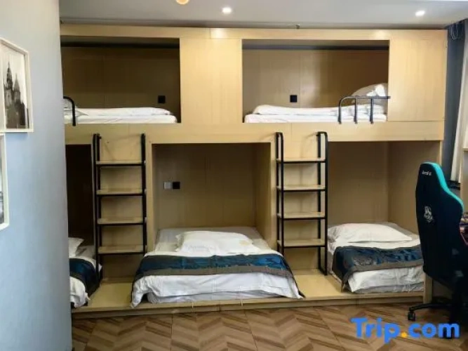 Bed in Dorm