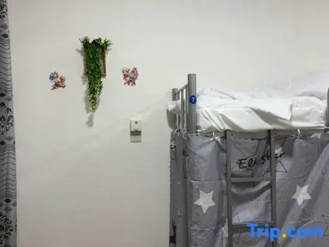 Bed in Dorm (male dorm)