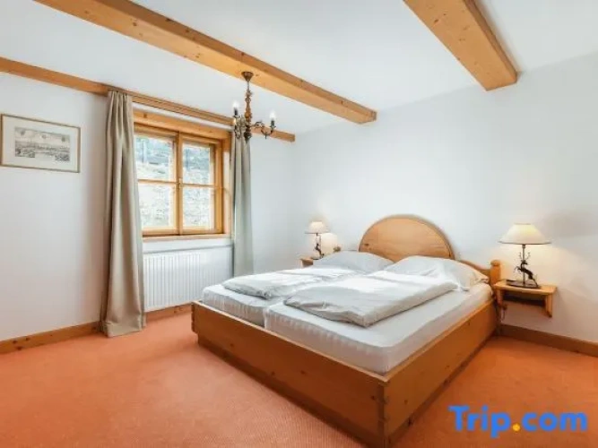 Family Apartment