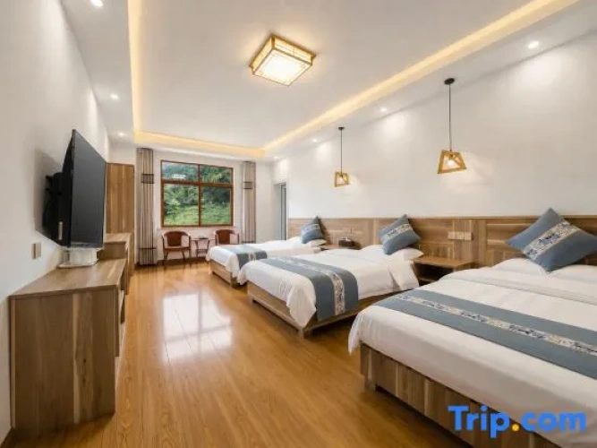 Standard Triple Family room
