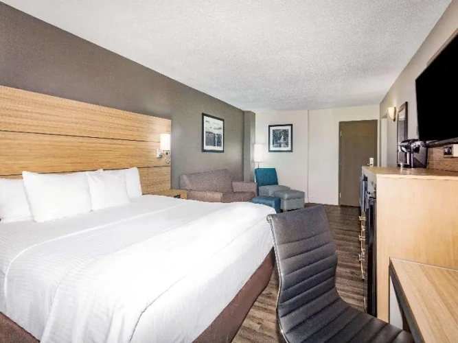 Triple Suite