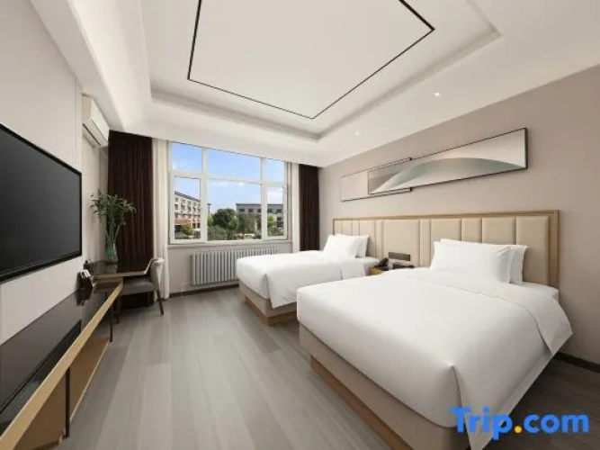 Standard Twin room with garden view