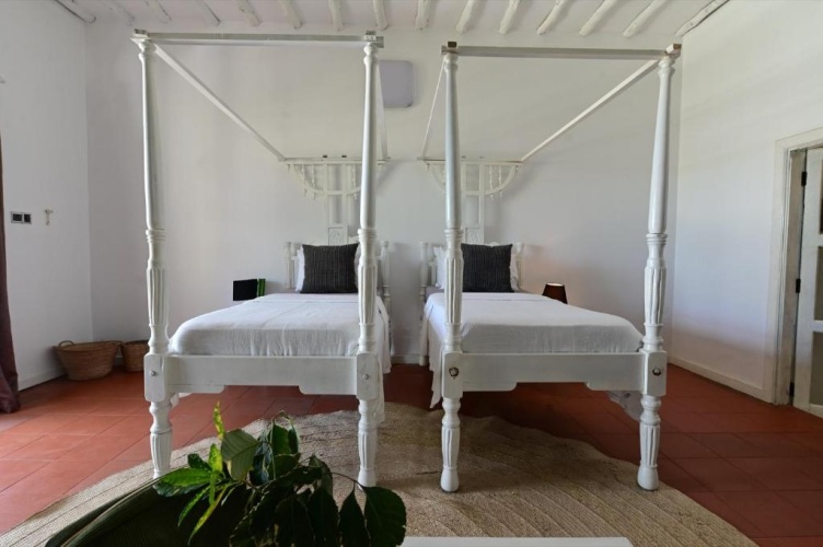 Standard Twin room with garden view
