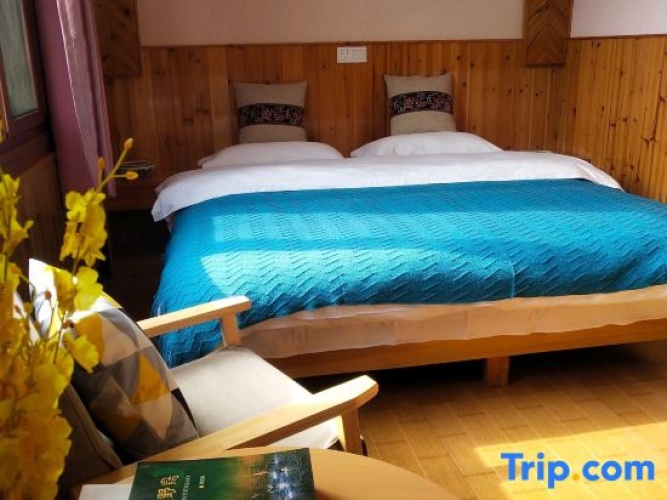 Premium Double room with garden view