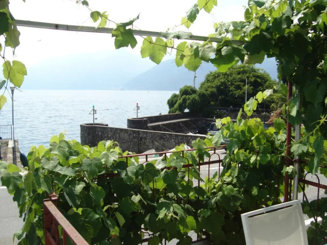 La Vigna