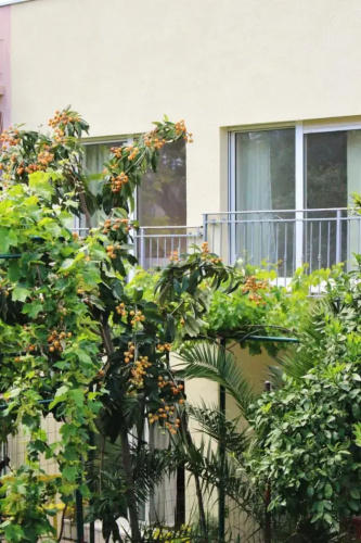 Rooms Marana