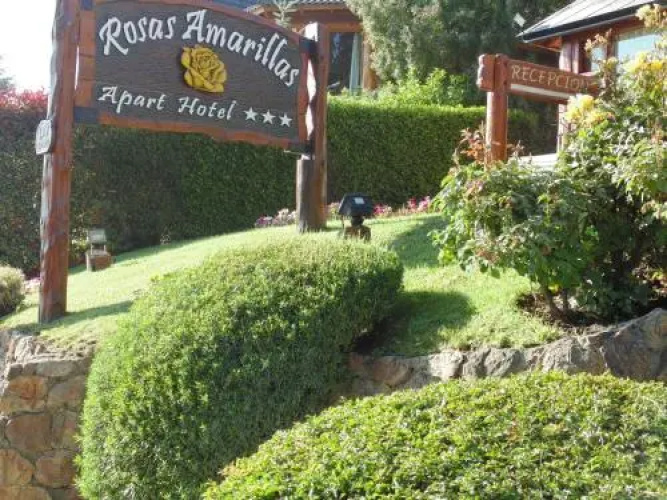 Rosas Amarillas