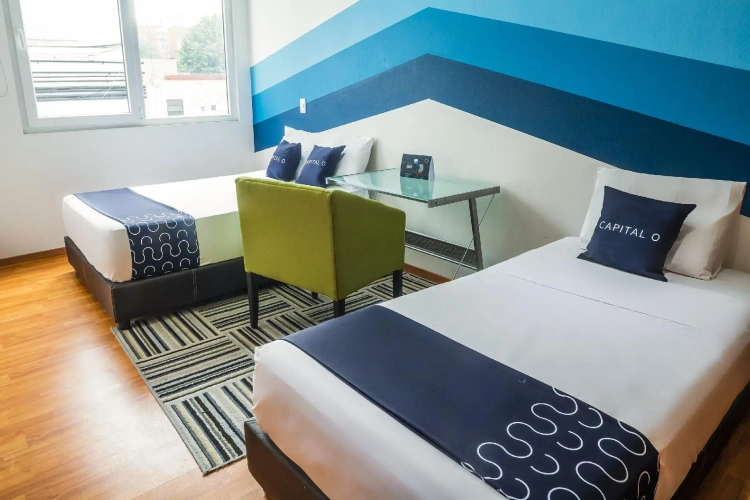 Comfort Suite