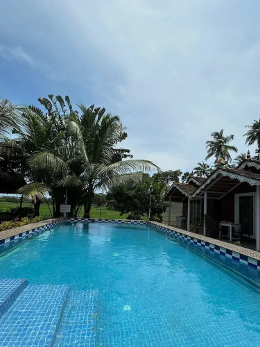 Golden Rice Resort