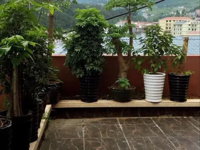 Yongshun Exotic Hotel