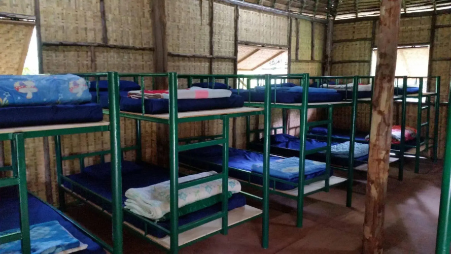 Jungle Zone - Hostel