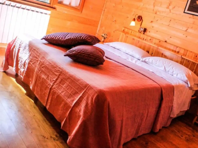 Standard Double room with mountain view