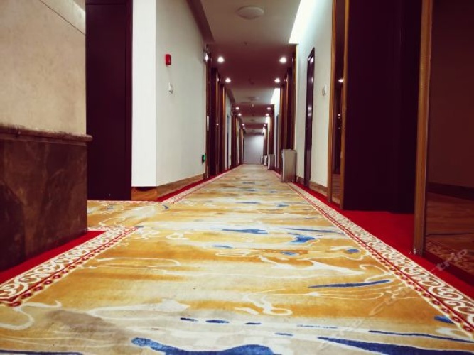 Hotel rooms