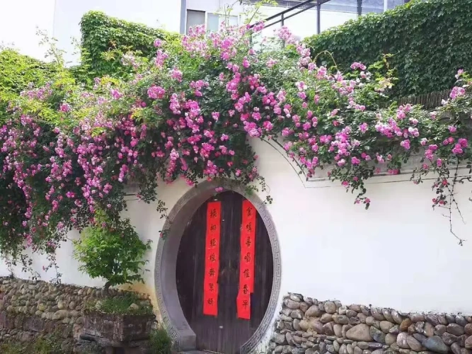 Deluxe Cottage