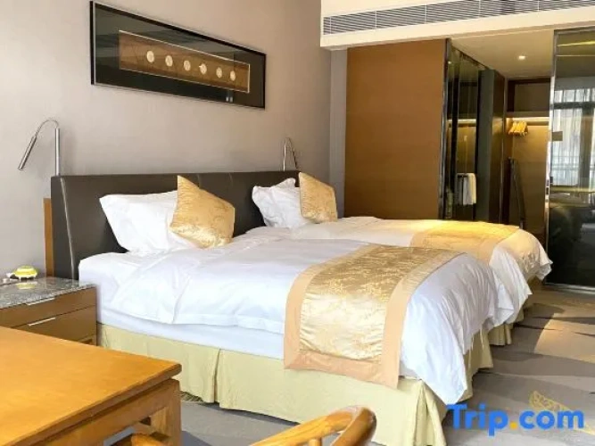 Executive Twin room